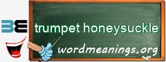 WordMeaning blackboard for trumpet honeysuckle